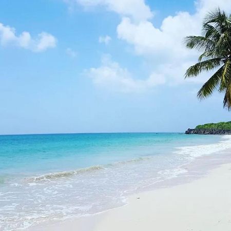 - Les Pieds Dans L'Eau A 50M De La Plage, Cote Mer Caraibe - Domaine De L'Anse Caritan - Sainte-Anne - Εξωτερικό φωτογραφία