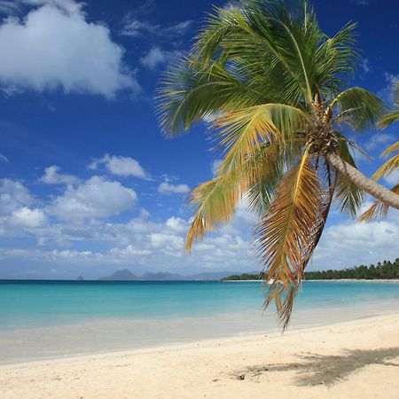 - Les Pieds Dans L'Eau A 50M De La Plage, Cote Mer Caraibe - Domaine De L'Anse Caritan - Sainte-Anne - Εξωτερικό φωτογραφία