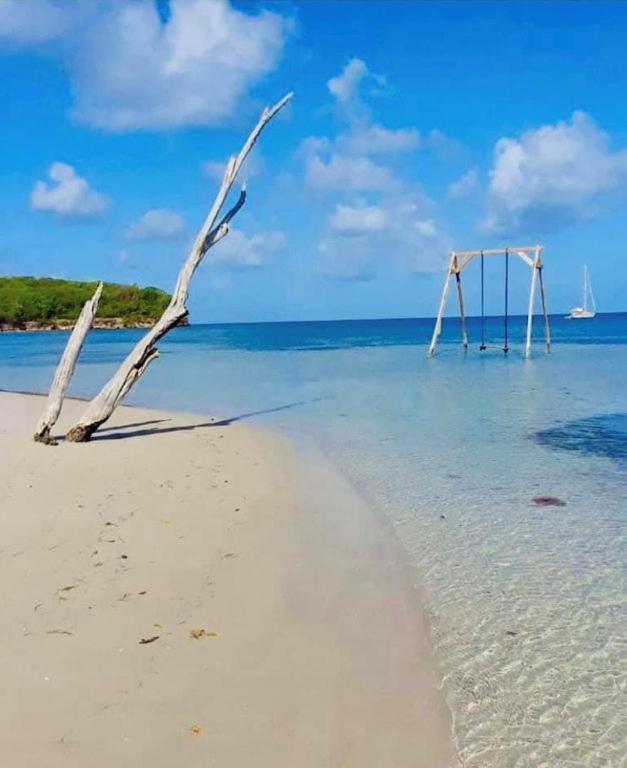 - Les Pieds Dans L'Eau A 50M De La Plage, Cote Mer Caraibe - Domaine De L'Anse Caritan - Sainte-Anne - Εξωτερικό φωτογραφία