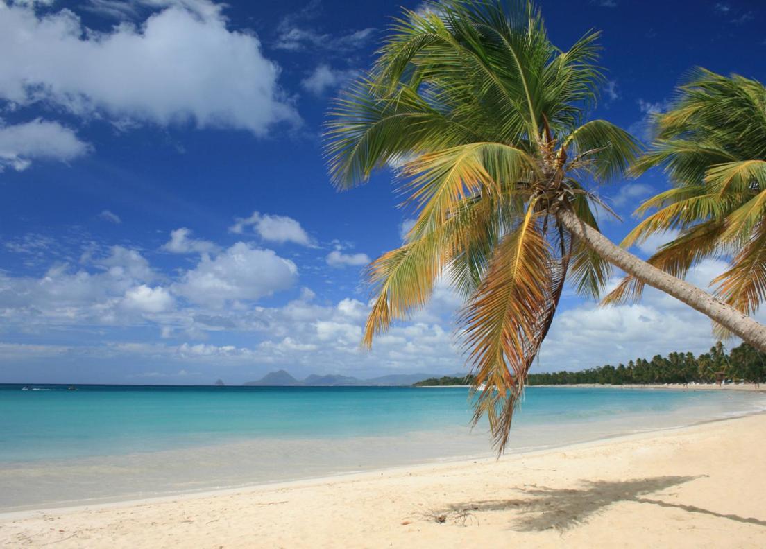 - Les Pieds Dans L'Eau A 50M De La Plage, Cote Mer Caraibe - Domaine De L'Anse Caritan - Sainte-Anne - Εξωτερικό φωτογραφία